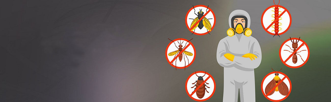 Böcek ve Haşere İlaçlaması ve Dezenfeksiyon